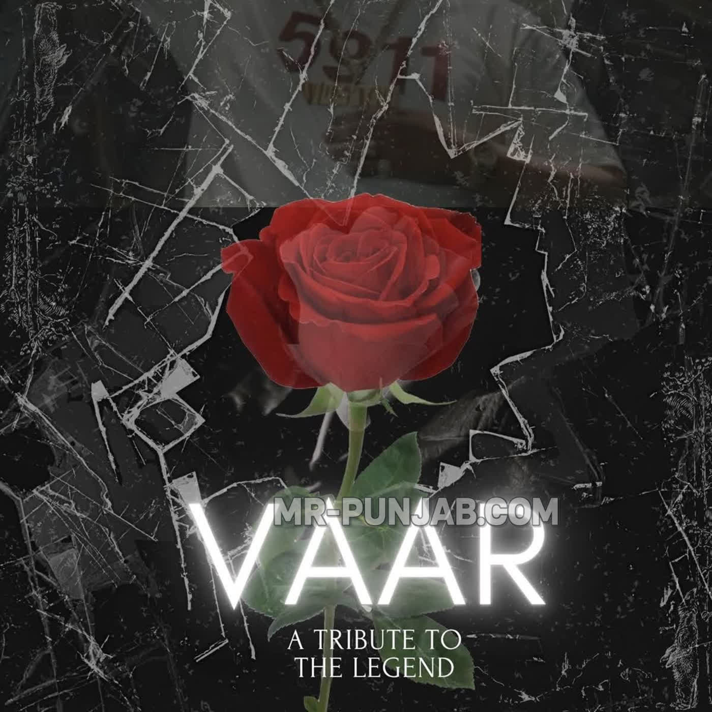 Vaar
