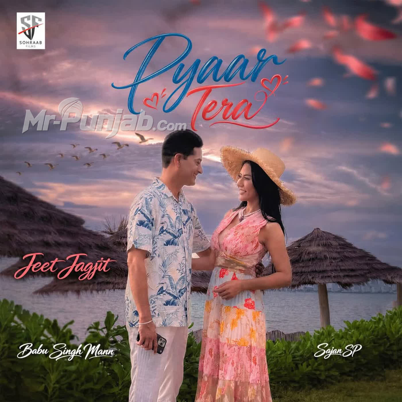 Pyaar Tera